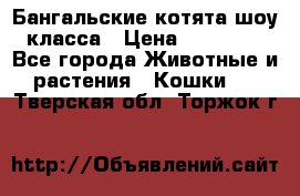 Бангальские котята шоу класса › Цена ­ 25 000 - Все города Животные и растения » Кошки   . Тверская обл.,Торжок г.